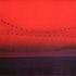 20120809201924-sq-07
