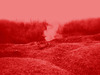 20120809232714-tumblr_m1jlwnmoap1rpx59ho1_1280-1