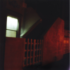 ,Saul Robbins