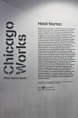 ,Heidi Norton