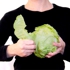 Cabbagepeel1_