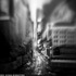 20120811091017-06--81112
