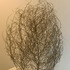 20110115033434-img_4327