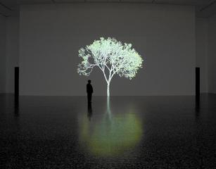 ,Jennifer Steinkamp