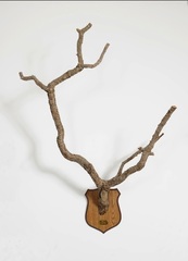   Taxonomic Trophy (Sorbey, France),Maarten Vanden Eynde