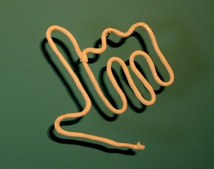 Rope Hand,Ted Carey