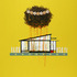 20120813154930-mondrian-greaseb