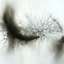 20120813182458-optic_2