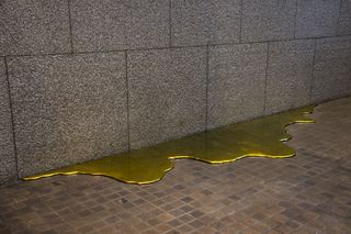 Gold Flood,Karen Lofgren