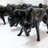 20120814001655-bison_herd_hires_crop_small