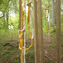 20120814030307-wanas1