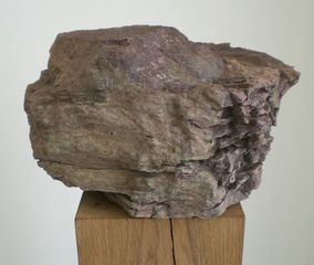  "untitled", collected: schwärz (eschenau), steigerwald ,herman de vries