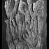 20120814155436-hilton__scott-_abductor_pollicis