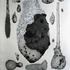 20120814232052-survival_relationships_no1