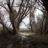 20120815050401-tressapack15