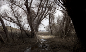 20120815050401-tressapack15