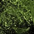 20120815070805-haunt_2011_404__2_