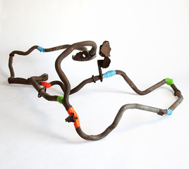 ,Evan Robarts
