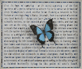 Four Ways to Blue,Jane Hammond