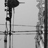 20120816035805-acosta_pavel_stolen_paint_10