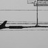 20120816035844-acosta_pavel_stolen_paint_11