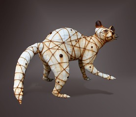 "LOTOR LOOKING FOR CRAYFISH" (RACCOON),Geoffrey Gorman