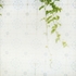 20120816154647-prev_12616_img1