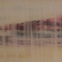 20120817030213-patkin_465w6568