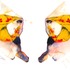 20120817042913-karen-yellow_copy