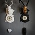 20120817080057-effects_of_the_earths_motions_-_small