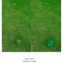 20120817182717--17da2010vagueterrain-grass_grafts