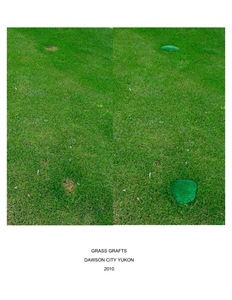20120817182717--17da2010vagueterrain-grass_grafts