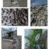 20120817183246-11da2010vague_terrainsorry_nonuments