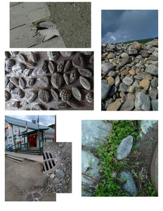 20120817183246-11da2010vague_terrainsorry_nonuments