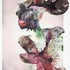 20120818025732-setheight450-featherface3