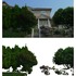 20120819043146-hedgewest-beforeafter
