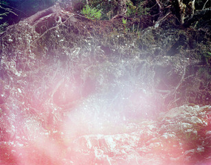 Untitled,Hannah Whitaker