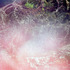 20120819053807-07--81812