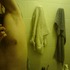 20120819095201-dsc00093