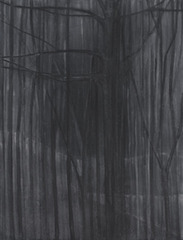 Wintertrees,Silke Otto-Knapp