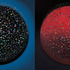 20120820030333-c-single-broil-on-canvas122x122cmeach20102