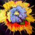 20120820162453-garnett_sploosh-300dpi