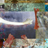 20120820213330-dry-bones-front-post-card