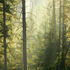 20120821141236-dscn9843_edited-1