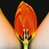 20120821192638-ellen_cantor_dichotomy