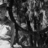 20120822054857-722x270_iwm_ib_4244c