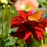 20120822191247-dsc_1716
