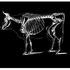20120908003222-a_sacred_cow
