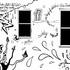 20120823010954-enlightment_mural_panel_3-s