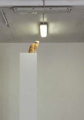 ,Michael Sailstorfer